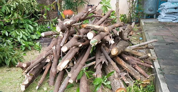 Yard Waste Removal