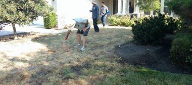 Landscape Design
