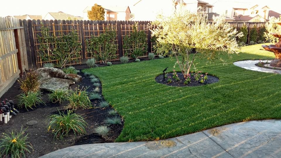 Landscape Construction