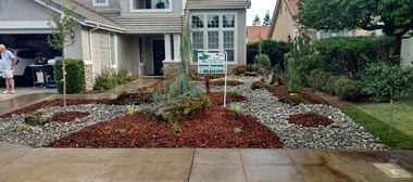 Drought-Tolerant Landscaping