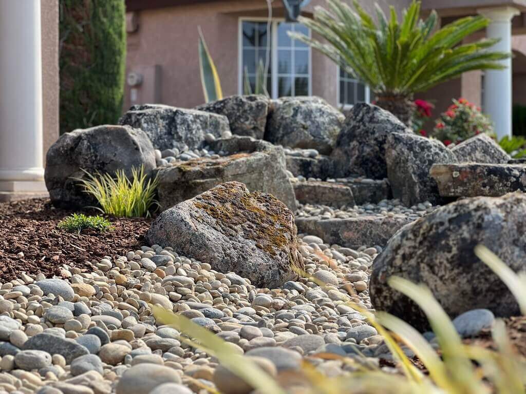 Drought-Tolerant Landscaping