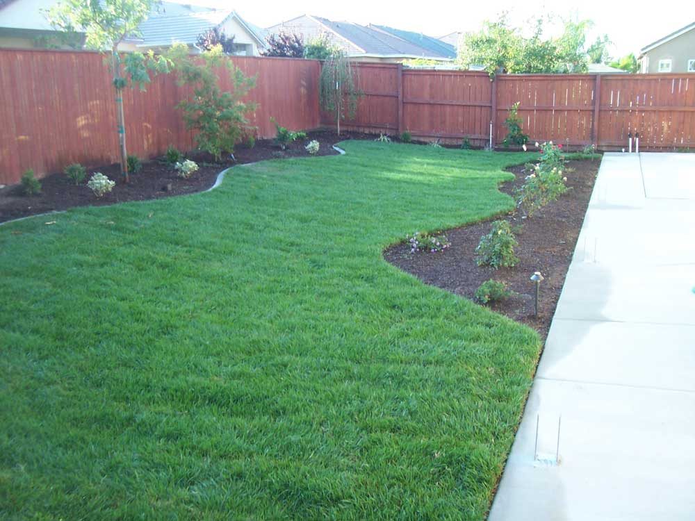 Softscape Plantings