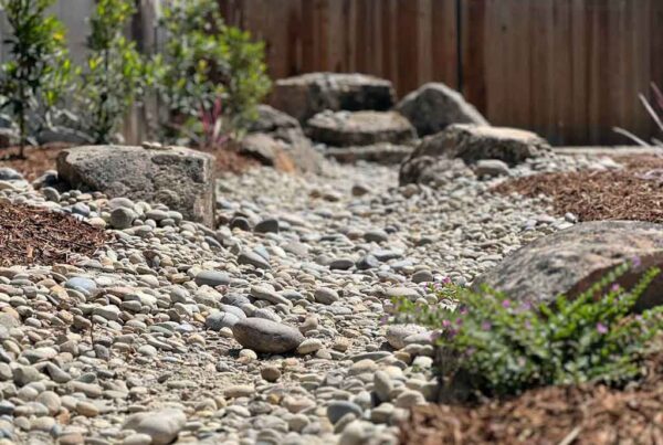 Anderson Landscaping project photo