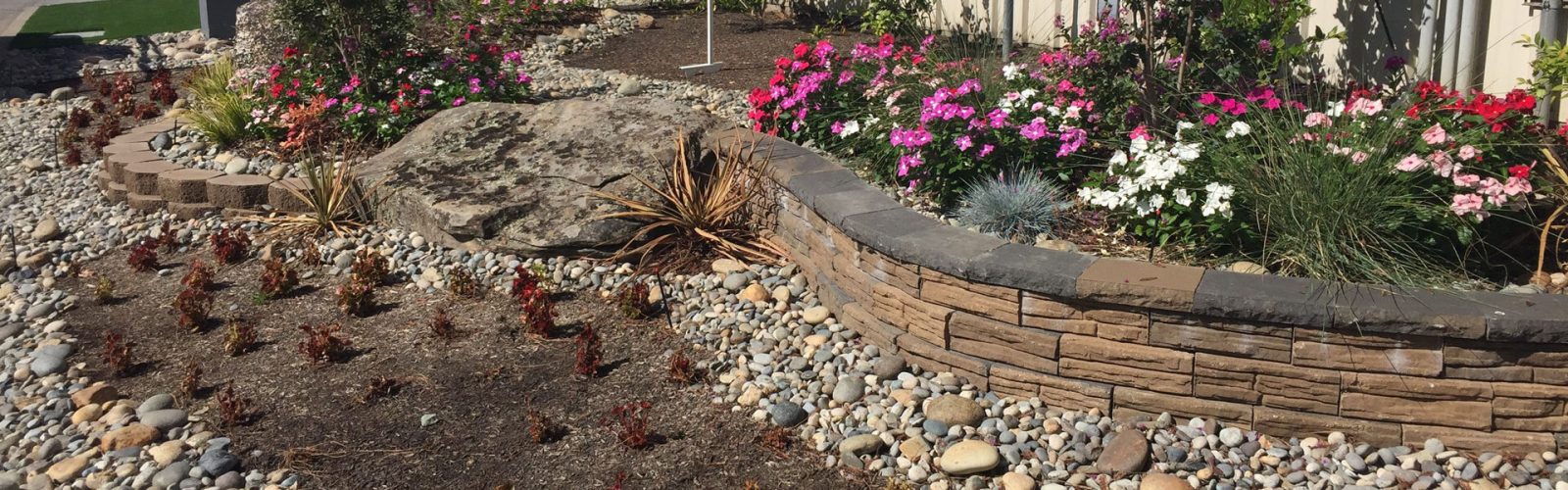 Drought-Tolerant Landscaping
