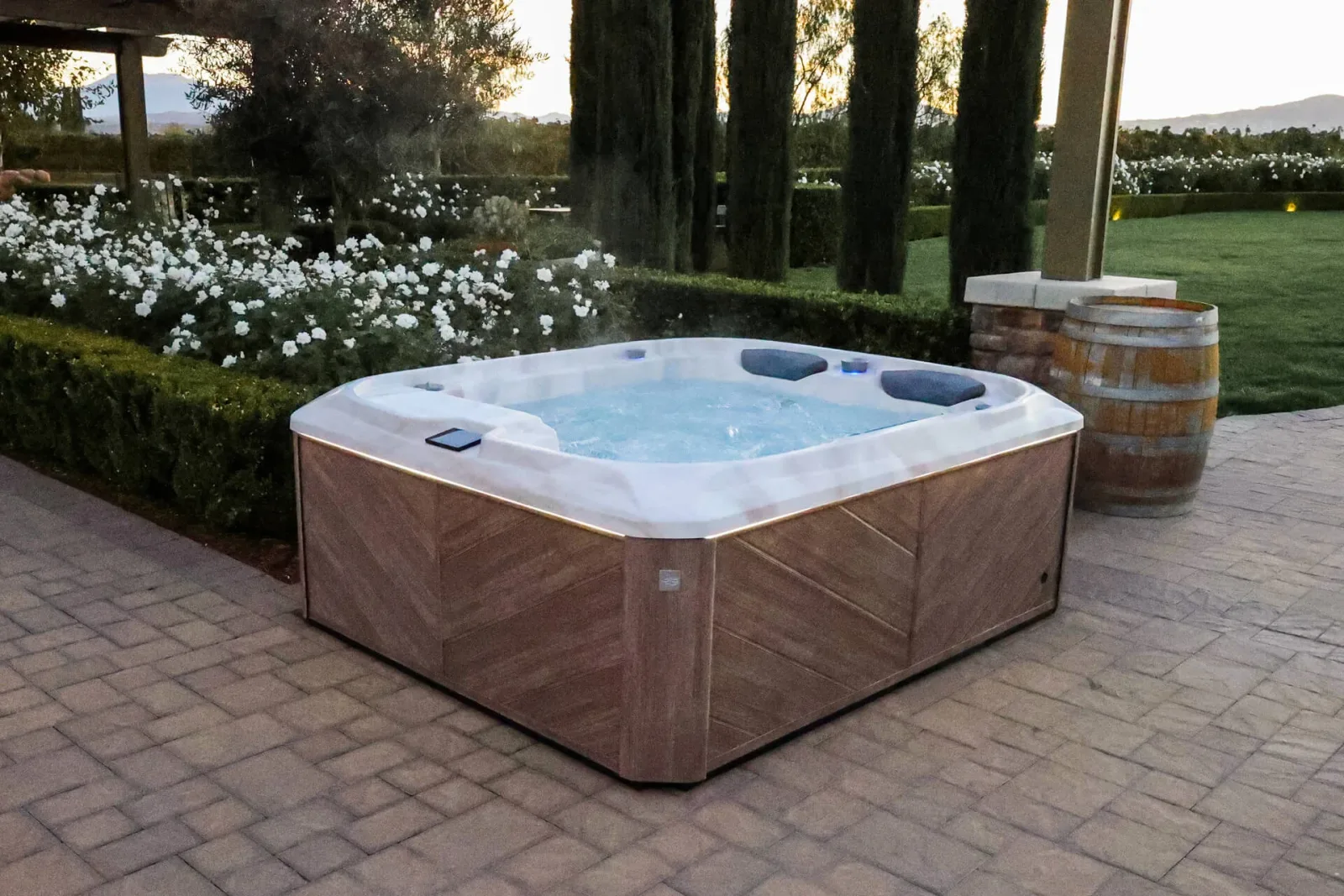 Backyard Spa and Leisure project photo