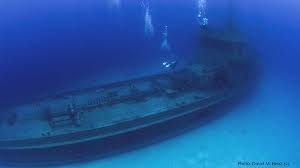 Deep Diver