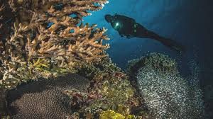 Navigation