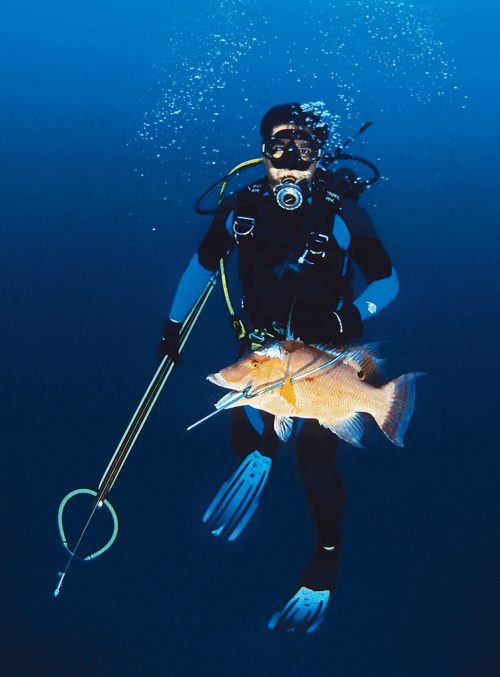 California Scuba Center project photo