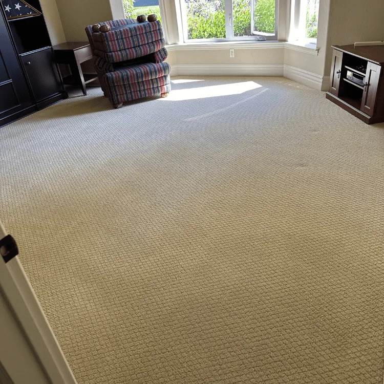 Complete Carpet And Tile Cleaning