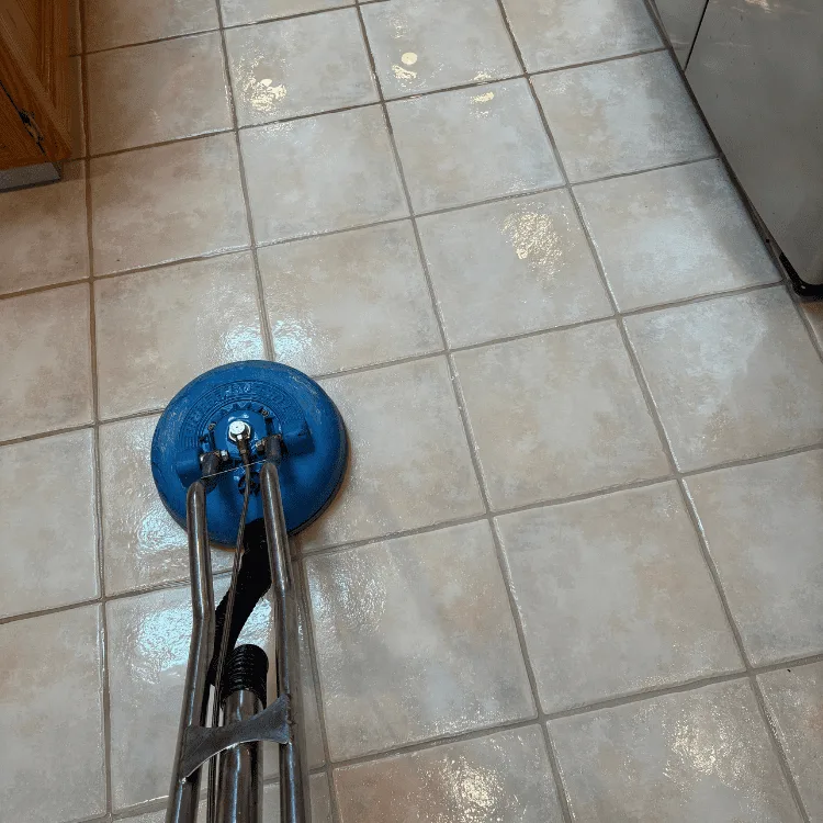 Complete Carpet And Tile Cleaning project photo