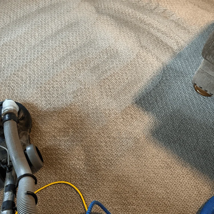 Complete Carpet And Tile Cleaning project photo