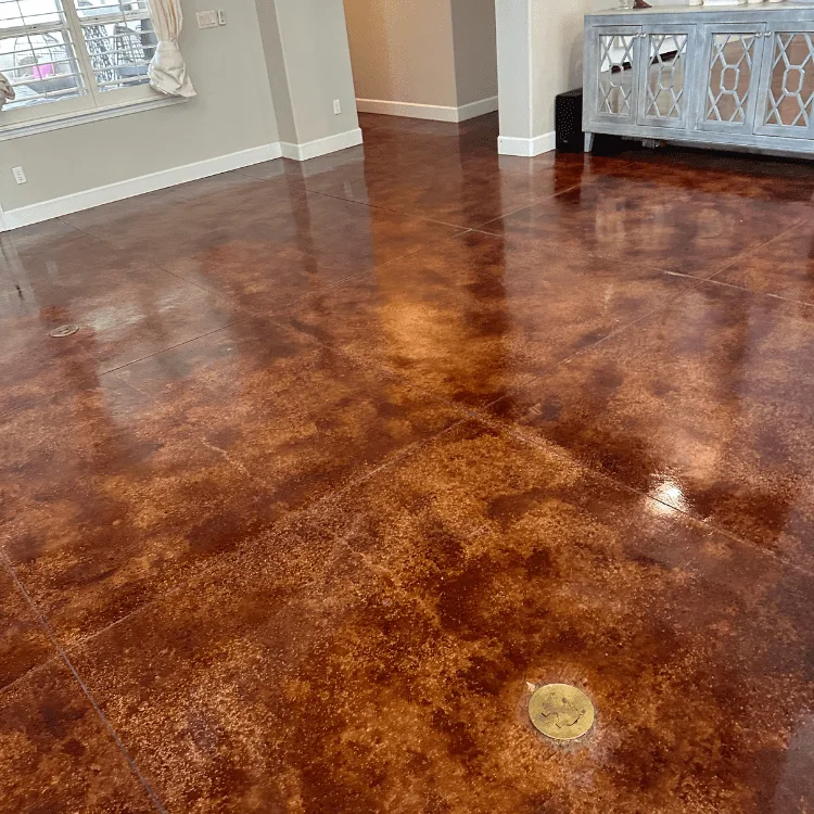 Complete Carpet And Tile Cleaning project photo