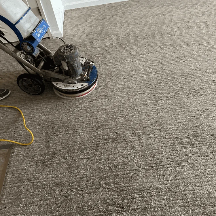 Complete Carpet And Tile Cleaning project photo