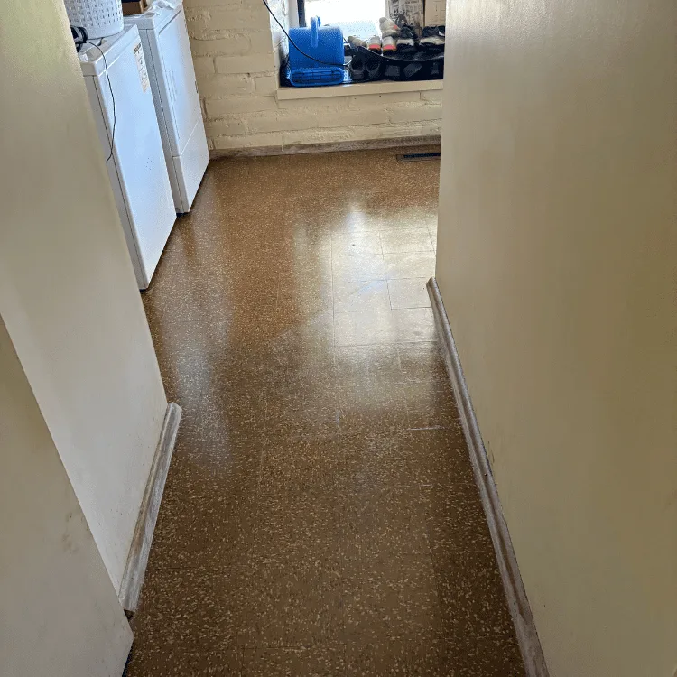 Complete Carpet And Tile Cleaning project photo