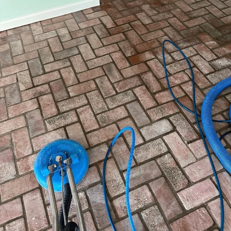 Complete Carpet And Tile Cleaning project photo