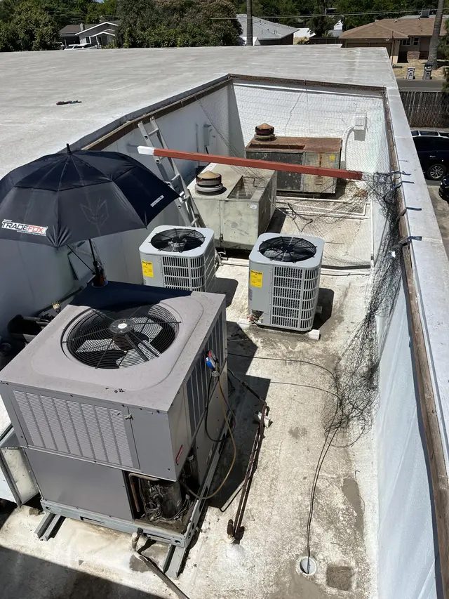 Dirk & Sons project photo