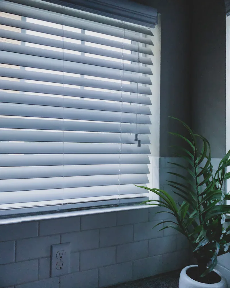 Blinds, Shutters, and Shades