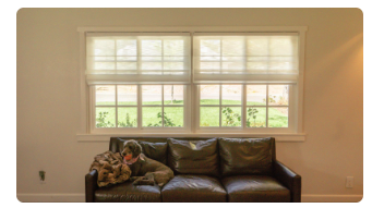 Window Coverings