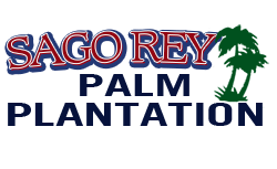 Sago Rey Palm Plantation