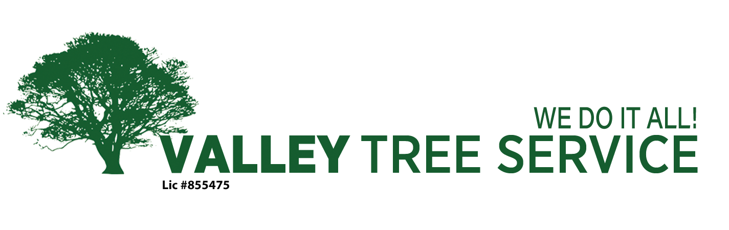 Valley Tree Service